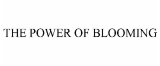 the power of blooming