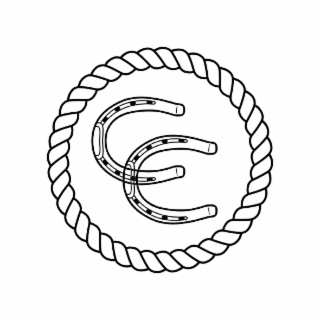 cc