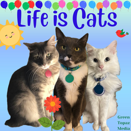 life is cats green topaz media