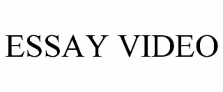 essay video