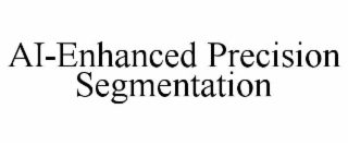 ai-enhanced precision segmentation