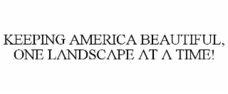 keeping america beautiful, one landscape at a time!