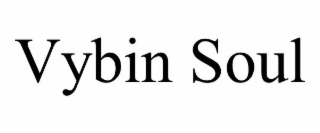 vybin soul