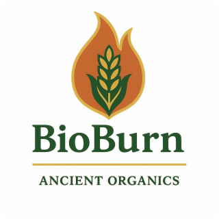 bioburn ancient organics