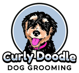 curly doodle dog grooming