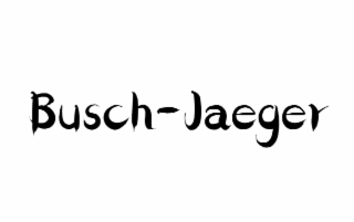 busch-jaeger