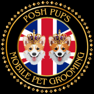 pet posh pups mobile grooming