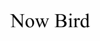 now bird