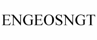 engeosngt