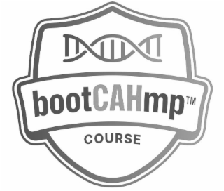 bootcahmp course