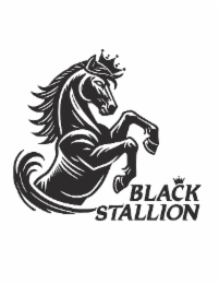 black stallion