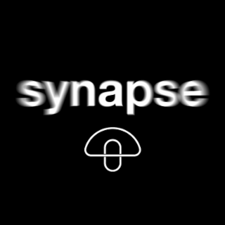 synapse