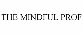 the mindful prof