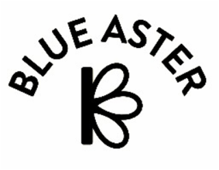 blue aster