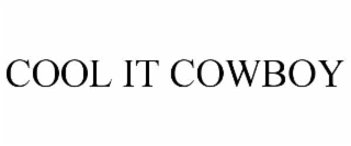 cool it cowboy