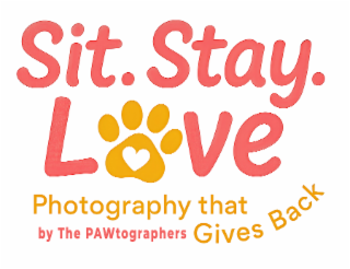 sit. stay. love photography that gives back – by the pawtographers
