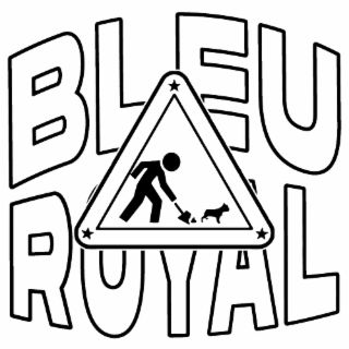 bleu royal