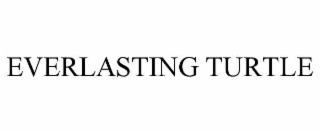 everlasting turtle