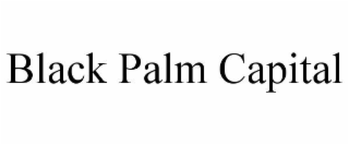 black palm capital