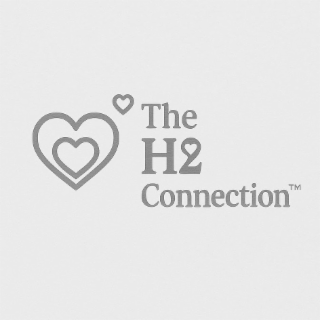 the h2 connection