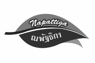 napattiga
