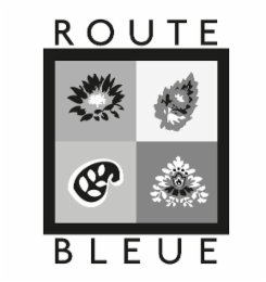 route bleue