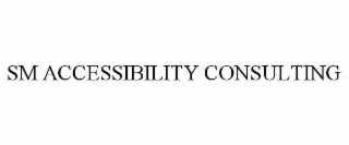 sm accessibility consulting