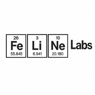 3 li 26 fe 55.845 6.941 10 ne 20.180 labs