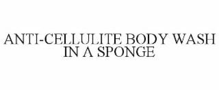 anti-cellulite body wash in a sponge