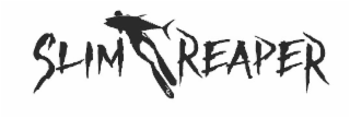 the words slim reaper appear in the drawing as well as the letters rv on the fin of the diver.