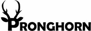 pronghorn