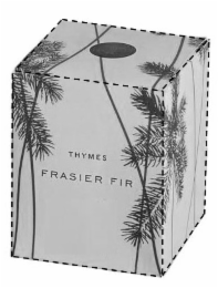 thymes frasier fir