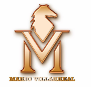 vm mario villarreal