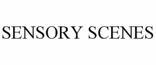 sensory scenes