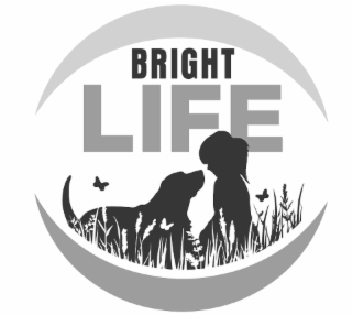 bright life