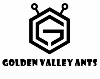 golden valley ants