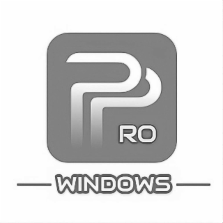 p pro windows