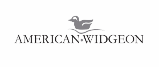 american widgeon