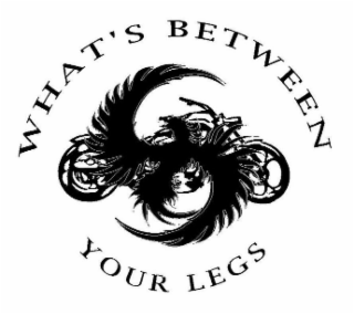 what's between your legs