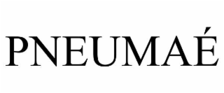pneumaÉ