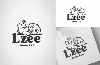 store llc lzee store llc lzee store llc lzee