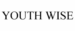 youth wise