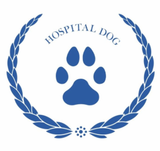 hospital dog