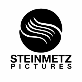 steinmetz pictures