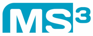 ms 3