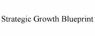 strategic growth blueprint