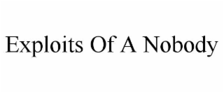 exploits of a nobody