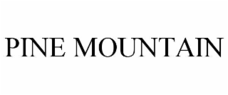 pine mountain