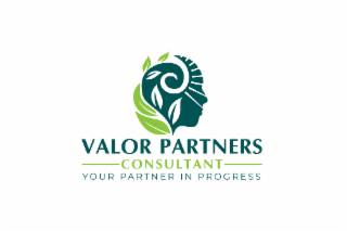 valor partners consultant your partner in progress