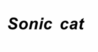 sonic cat